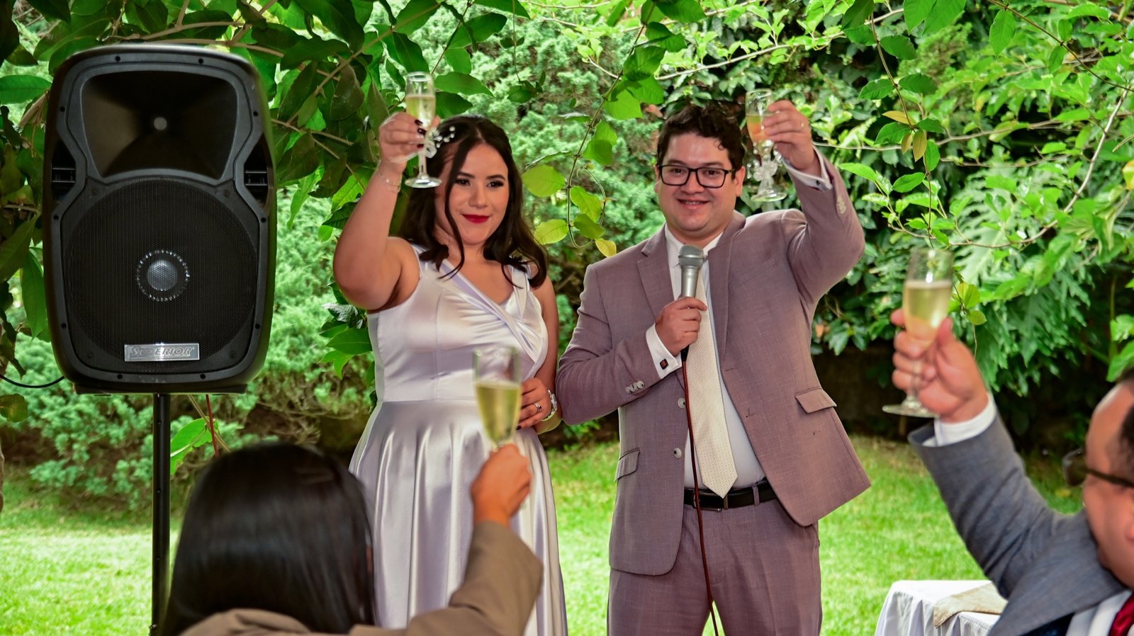 Brindis durante una celebración al aire libre